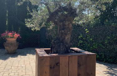 Villa Stella - Foto 37