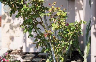 Casa Ermioni Stone House - Photo 60