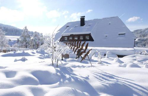 SchwarzWild - Ferienwohnung und Ferienzimmer - Foto 8