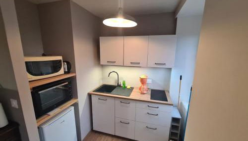 Superbe appartement - Foto 4, stove