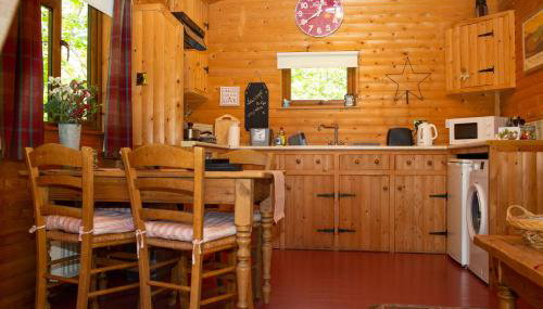 Fiddlers Green Log Cabin Tenby - Foto 5