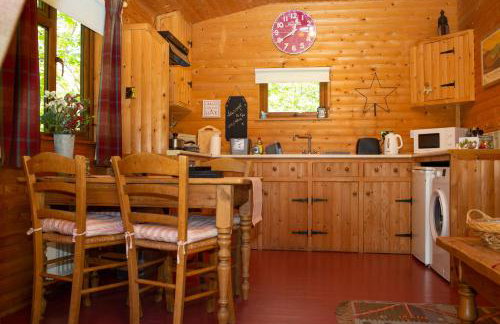 Fiddlers Green Log Cabin Tenby - Foto 5