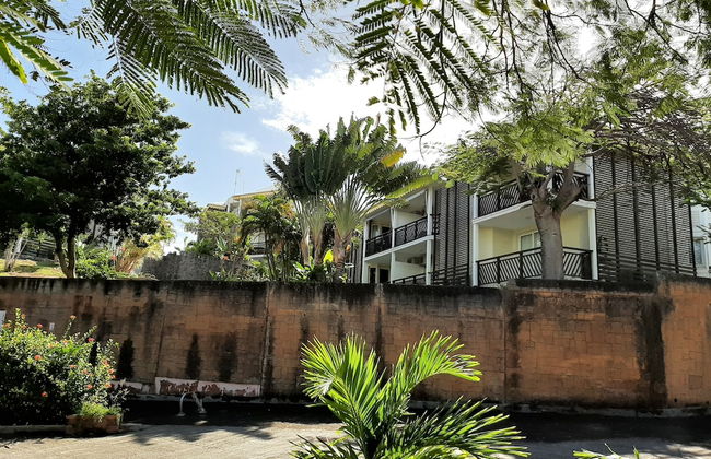 Kaz ananas passion - Photo 37