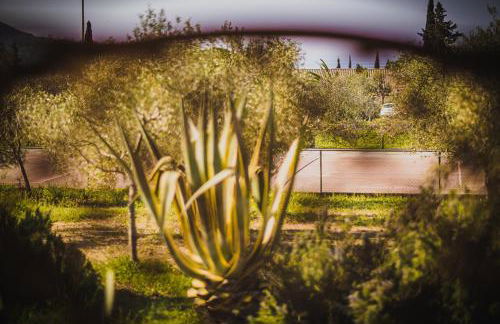 Residence il Mandorlo - Foto 41