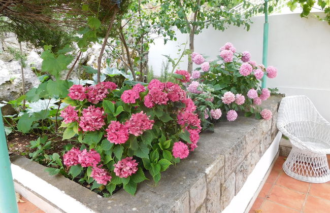 Apartments Ivancevic - Foto 61