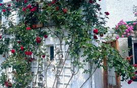 Ferienwohnung Johanna - Foto 30