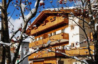 Residence Adler - Foto 1