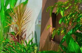 Casa em Mundaú Trairi-Ce - Foto 16