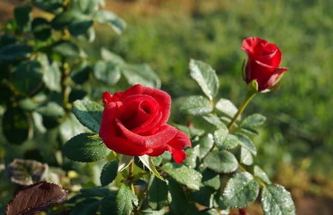 Winmark Wines - Foto 34