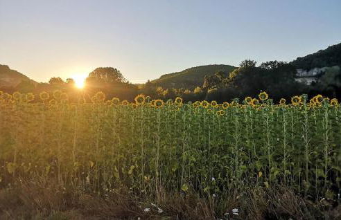 Gorgeous Home In Terrasson-Lavilledieu - Foto 21