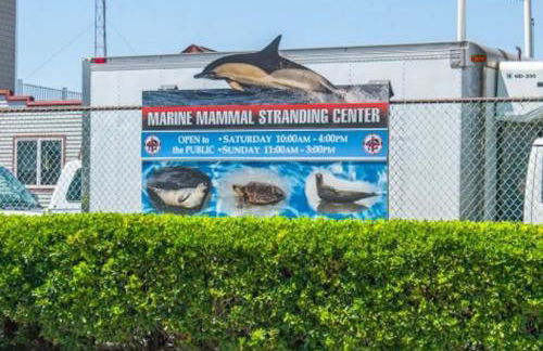 New Ocean Front Couples Family Retreat Close2AC - Foto 24