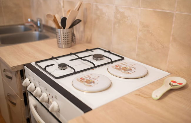 Downtown apartment Danica - Foto 4