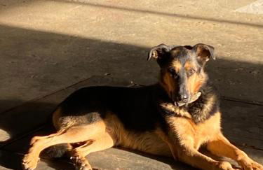 Domaine Nature Vacances - Foto 47