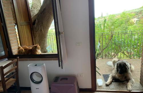 SetterHouseAgriHotel - Photo 23