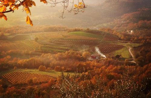 Bolara 60: the Cottage - Foto 48