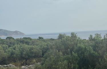 Mani Spot Nezoulas - Photo 4