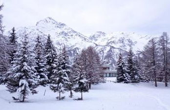 Ski apartment Sellette San Sicario Alto - Photo 32