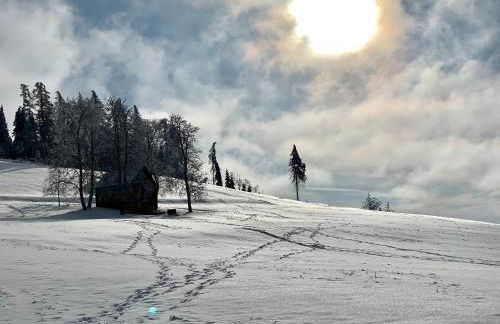 Rennsteig-Pension Trautwein - Foto 29
