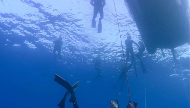 Esplorando i fondali marini della zona