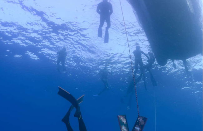Adeje Coast Lava Tongue Snorkelling - Photo 4