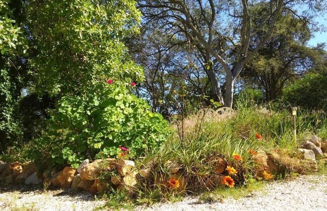 Nature Houses - Foto 44