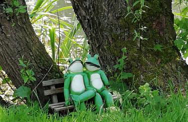 Am Froschteich - Foto 1