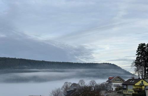 Panorama-Suite mit Kamin & Balkon, Ruhe, Weitblick & Natur im Schwarzwald - Foto 28