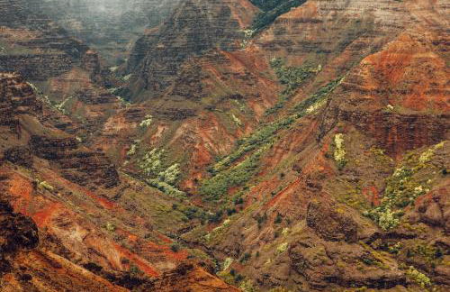 Banyan Harbor Resort - Foto 69