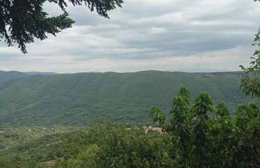 Άγρια Λούλουδα Κατοικία Αρμονία - Photo 45