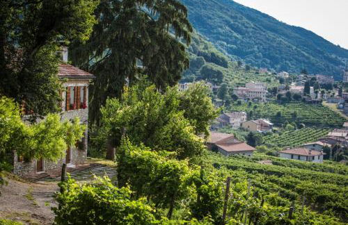 Vite in Rosa La Casetta - Foto 43