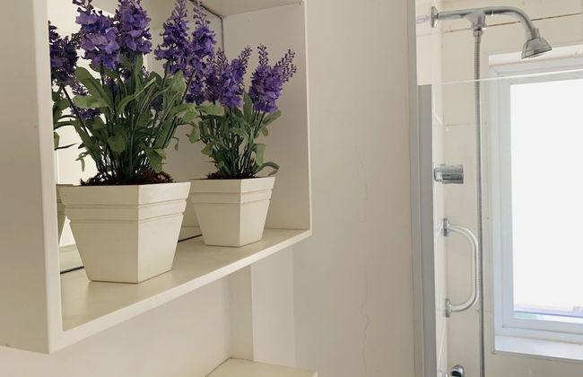 Akile Carlos Sampaio - Foto 33