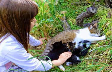 Green Farm-small paradise! - Foto 19