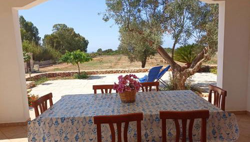 Tenuta Cazzato - Foto 3