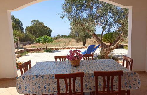 Tenuta Cazzato - Foto 3