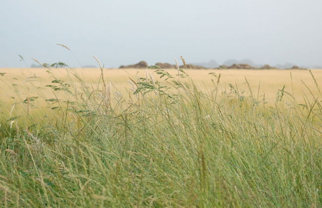 Restyled Single Storey Bungalow, Near the Sea on Texel - Foto 42