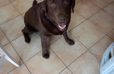 La Pomella - Foto 35