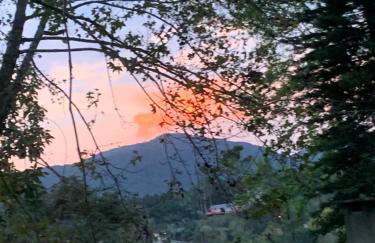 Chalé Banho de Floresta Atibaia Clube de Montanha - Foto 2
