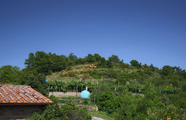 Belvilla by OYO Club House - Foto 35