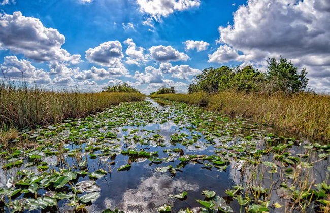 Offre : Centre Spatial Kennedy + Everglades - Photo 5