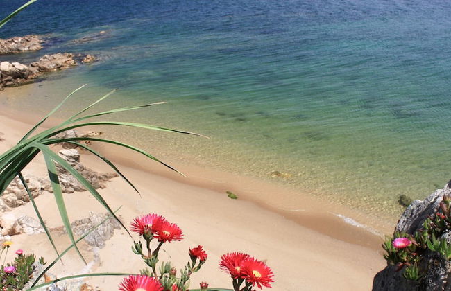 Capo Ceraso Family Residence - Photo 64