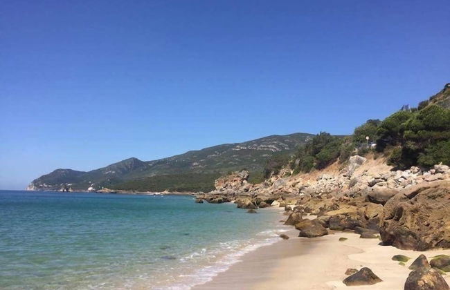 Vila Sao & Pompeia - Photo 40