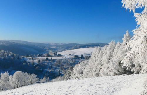 Lauschablick FeWo Thüringen - Foto 18
