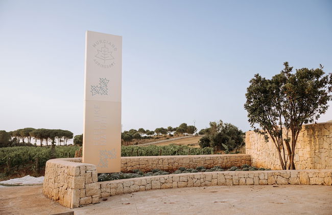 Agriresort Murciano - Photo 66