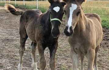 Domek Na Morenie - Foto 16