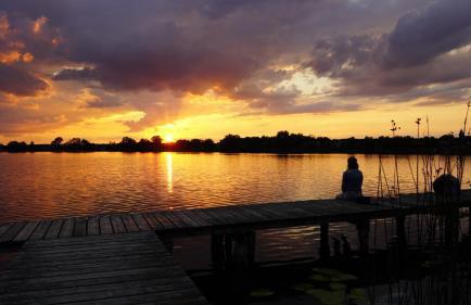 Ferienwohnungen am Krakower See - Foto 46