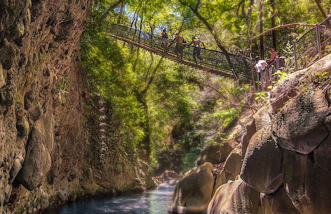Oropéndola Waterfall & Las Pailas Hiking Tour - Foto 4