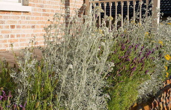 Spencer Cottage - Photo 18