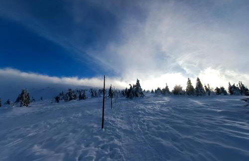 Apartament Nina - Foto 65