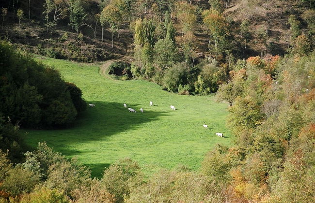 Bio Agriturismo La Cerqua - Foto 75