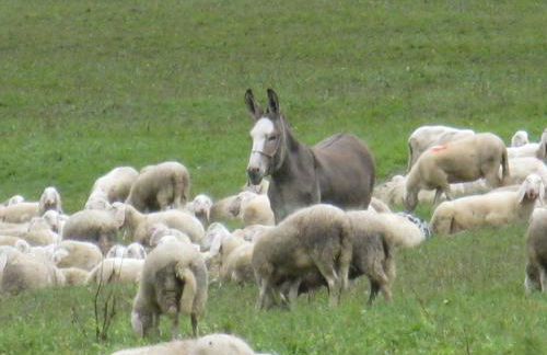 Chalet Laura - Foto 38